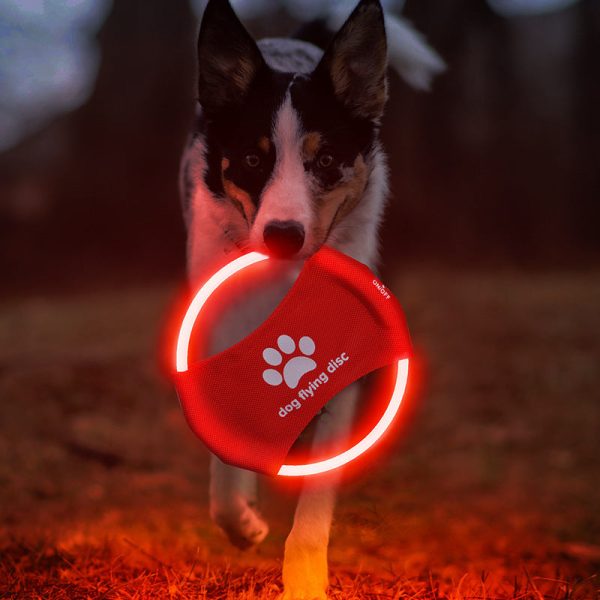 led-dog-flying-disc-12034123