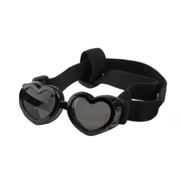 pet-windproof-glasses-12034155