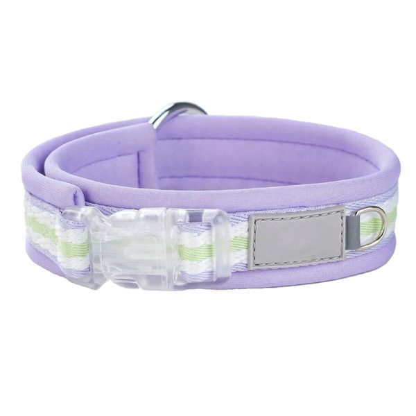 adjustable-dog-collar