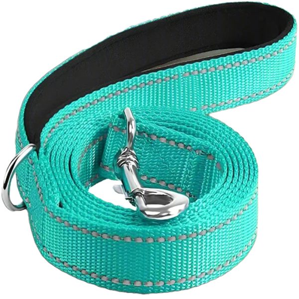 pet-guardian-reflective-comfort-dog-leash-12033151