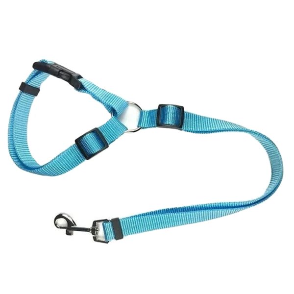 pet-guardian-seatbelt-leash-12033171