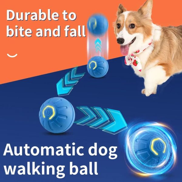 electronic-interactive-pet-toy-ball-12034062