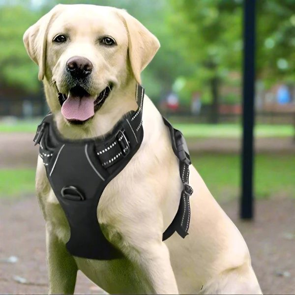 pet-guardian-elite-tactical-harness-12033166