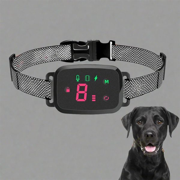 pet-guardian-silence-pro-bark-control-collar-12033202