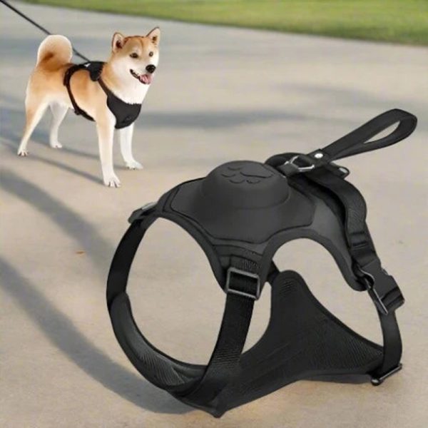 pet-guardian-retractable-dog-leash-auto-lock-adjustable-harness-combopet-guardian-retractable-dog-leash-auto-lock-adjustable-harness-combo-12033167