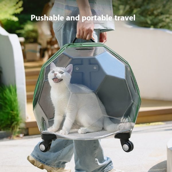 portable-transparent-pet-trolley-suitcase-12034084